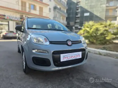 Usata Fiat Panda 69 CV (50 kW) 2019 Grigio Utilitaria