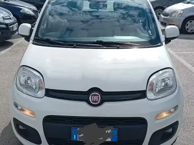 Usata Fiat Panda 69 CV (50 kW) 2019 Utilitaria