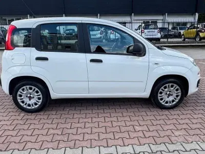 Usata Fiat Panda Easy 69 CV (50 kW) 2019 Bianco Utilitaria