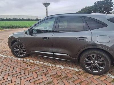 Usata Ford Kuga ST-Line X 190 CV (139 kW) 2023 Grigio SUV