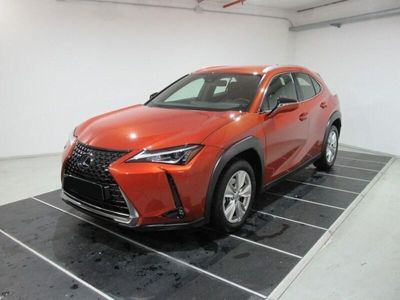 usata Lexus UX 250h Business 2wd cvt