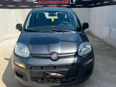 Usata Fiat Panda Easy 69 CV (50 kW) 2017 Grigio Utilitaria