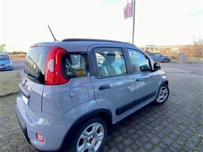 usata Fiat Panda Cross 1.0 FireFly S&S Hybrid City usato