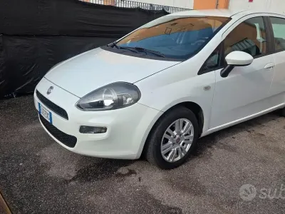 Usata Fiat Punto Evo Dynamic 69 CV (50 kW) 2012 Bianco Utilitaria