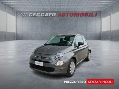 Usata Fiat 500 69 CV (50 kW) 2023 Grigio Utilitaria