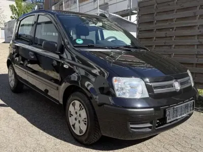 Usata Fiat Panda Active 54 CV (39 kW) 2010 Utilitaria