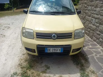 Usata Fiat Panda 4x4 Climbing 60 CV (44 kW) 2006 Giallo Utilitaria