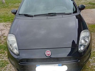 usata Fiat Punto 5p 1.4 easypower Young Gpl