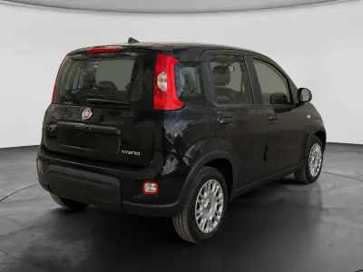 Usata Fiat Panda