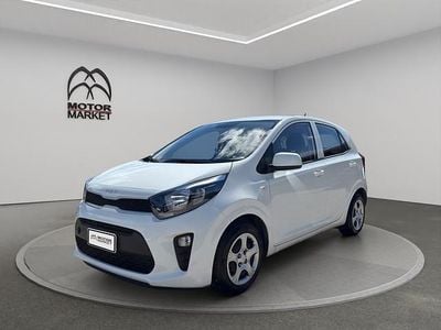 Usata Kia Picanto Urban 67 CV (49 kW) 2023 Bianco Utilitaria