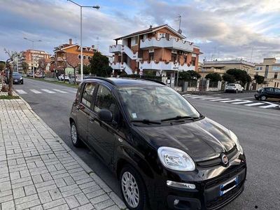 usata Fiat Panda 1.2 Easy 69cv