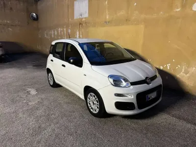 Usata Fiat Panda Easy 69 CV (50 kW) 2021 Bianco Utilitaria