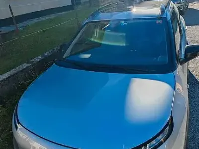 Usata Citroën C4 Cactus