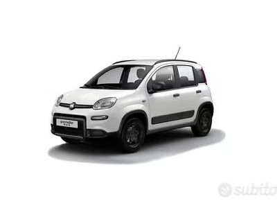Usata Fiat Panda 4x4 S 85 CV (62 kW) 2020 Bianco Utilitaria