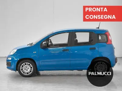 Usata Fiat Panda Icon 69 CV (50 kW) 2025 Blu/azzurro Utilitaria