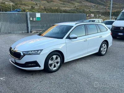 Usata Skoda Octavia Scout Scout 4x4 150 CV (110 kW) 2023 Bianco Station wagon