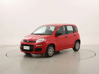 Usata Fiat Panda Easy 69 CV (50 kW) 2019 Rosso Utilitaria
