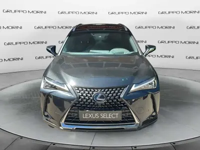 Usata Lexus UX 250h Luxury Line 184 CV (135 kW) 2022 Other SUV