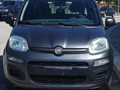 Usata Fiat Panda Easy 69 CV (50 kW) 2018 Grigio Utilitaria