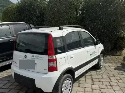 Usata Fiat Panda 4x4 60 CV (44 kW) 2006 Bianco Utilitaria