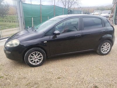 Usata Fiat Punto Evo Active 77 CV (56 kW) 2010 Grigio Utilitaria