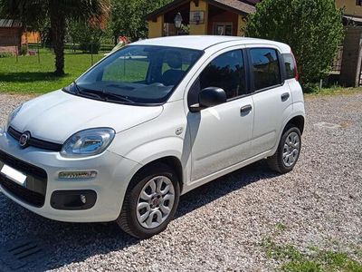 usata Fiat Panda 3ª serie - 2015