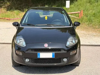 Usata Fiat Punto Lounge 69 CV (50 kW) 2016 Nero Utilitaria