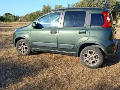Usata Fiat Panda 4x4 95 CV (69 kW) 2022 Verde Utilitaria