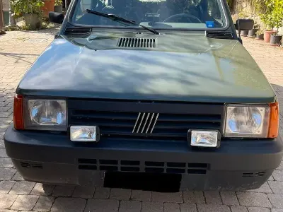 Usata Fiat Panda 4x4 50 CV (36 kW) 2002 Verde Utilitaria