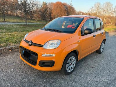 Usata Fiat Panda 69 CV (50 kW) 2018 Utilitaria