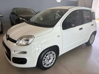 Usata Fiat Panda Easy 69 CV (50 kW) 2021 Bianco Utilitaria