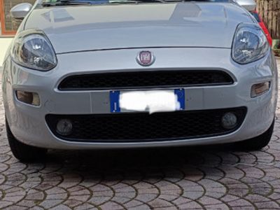usata Fiat Punto 1.2 69cv NEOPATENTATI