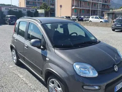 Usata Fiat Panda City Life 69 CV (50 kW) 2022 Utilitaria