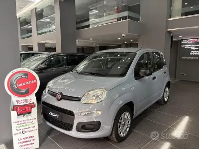 Usata Fiat Panda Easy 69 CV (50 kW) 2019 Grigio Utilitaria