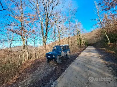 Usata Land Rover Defender 86 CV (63 kW) 1990 Blu SUV