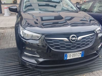 usata Opel Grandland X Grandland X 1.6 diesel Ecotec Start&Stop aut. Business