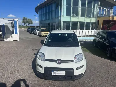 Usata Fiat Panda Cross Cross 70 CV (51 kW) 2022 Bianco Utilitaria