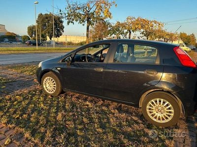 Usata Fiat Punto Lounge 75 CV (55 kW) 2015 Utilitaria
