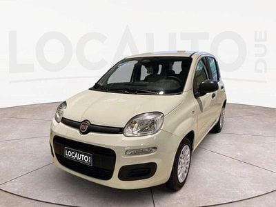 Nuova Fiat Panda Icon 69 CV (50 kW) 2025 Bianco Berlina