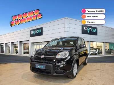 Usata Fiat Panda 69 CV (50 kW) 2025 Nero cinema pastello Utilitaria