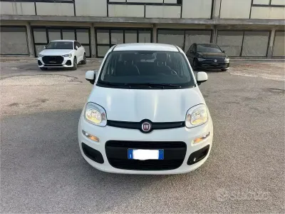 Usata Fiat Panda
