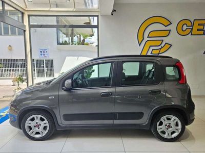 Usata Fiat Panda City Life 70 CV (51 kW) 2022 Grigio pastello Utilitaria