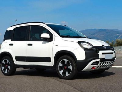 Usata Fiat Panda S 69 CV (50 kW) 2024 Bianco Utilitaria