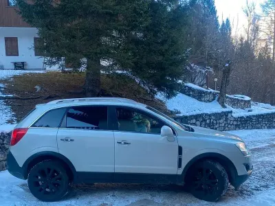 Usata Opel Antara 184 CV (135 kW) 2011 Bianco SUV