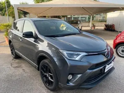 Usata Toyota RAV4 Hybrid