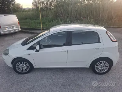 Usata Fiat Punto Evo 85 CV (62 kW) 2012 Bianco Utilitaria