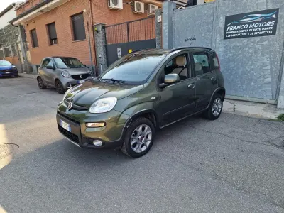 Usata Fiat Panda 4x4 S 75 CV (55 kW) 2015 Verde Utilitaria