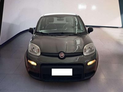 Usata Fiat Panda S 69 CV (50 kW) 2023 Grigio Utilitaria
