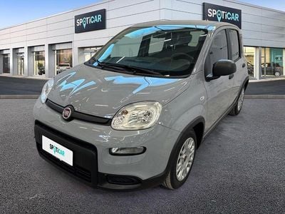 Usata Fiat Panda S 69 CV (50 kW) 2023 Grigio Utilitaria
