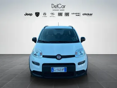Usata Fiat Panda City Life 70 CV (51 kW) 2022 Bianco Utilitaria